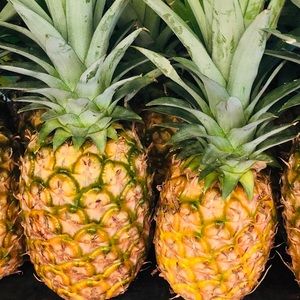 Meet your Posher, Chrissie